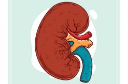 IgA肾病为什么称为良性肾病？耐赋康助力更多IgA肾病患者治疗