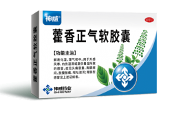 春湿困人不用愁，神威藿香解烦忧