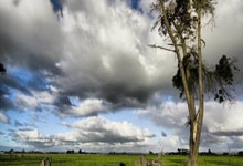 三医融合驱动医院药学转型：线上研讨会赋能医疗服务高质量发展