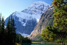 医生坦言：痛风不痛，才是抗炎治疗真正的开始