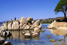 三医融合驱动医院药学转型：线上研讨会赋能医疗服务高质量发展